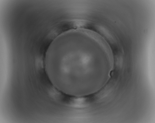 X0000113850313200910011006