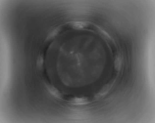 X0000113850314200910011006