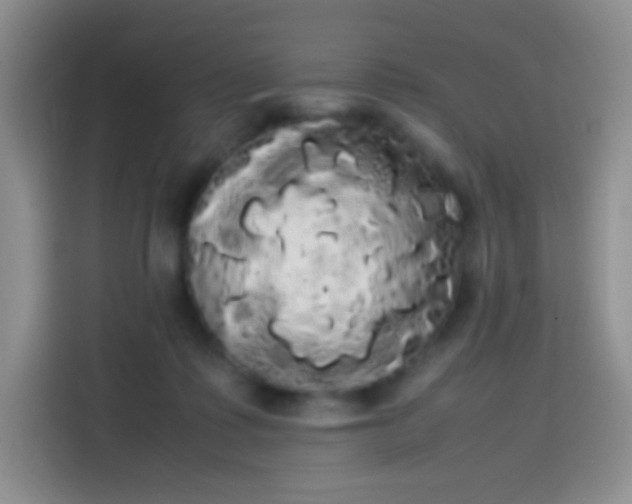 X0000113850315200910011006