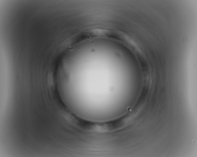 X0000113850317200910011006