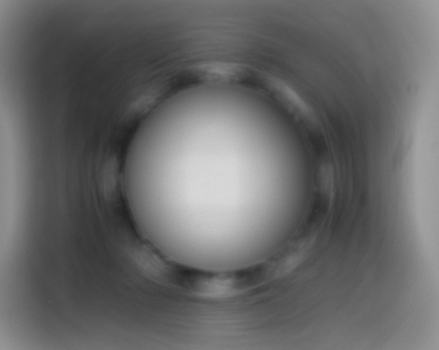 X0000113850318200910011006