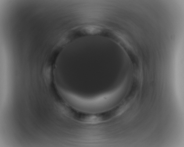 X0000113850319200910011006