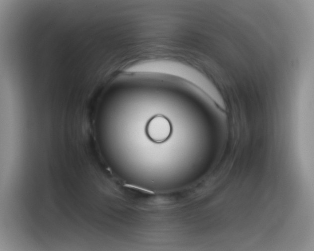 X0000113850320200910011006