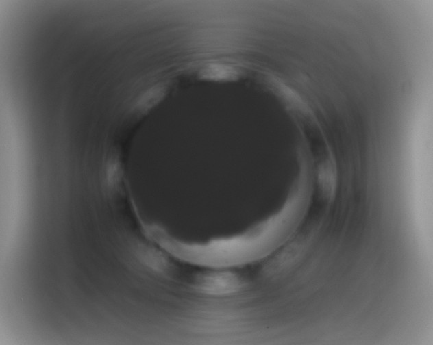 X0000113850322200910011006