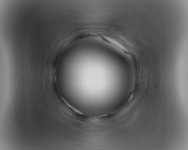 X0000113850325200910011006