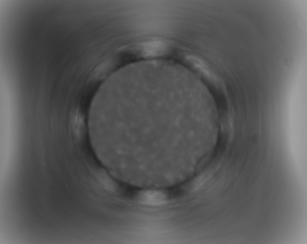 X0000113850327200910011006