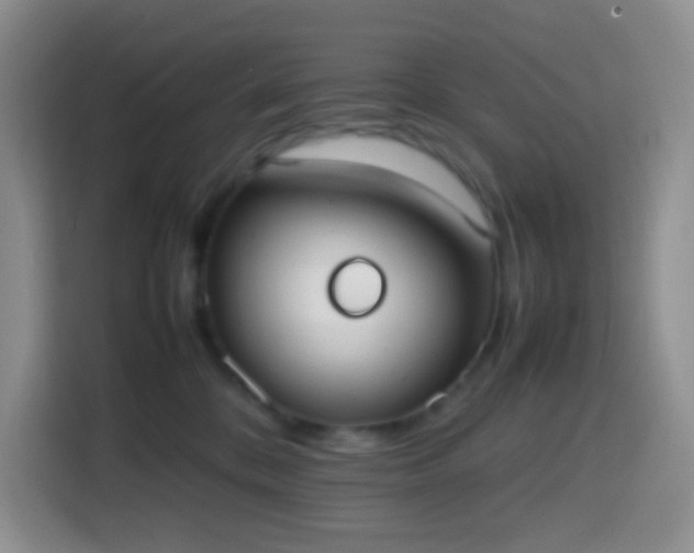 X0000113850328200910011006