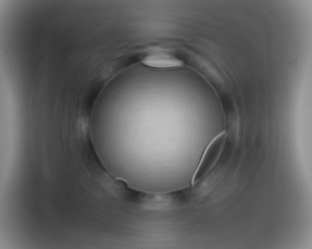 X0000113850329200910011006