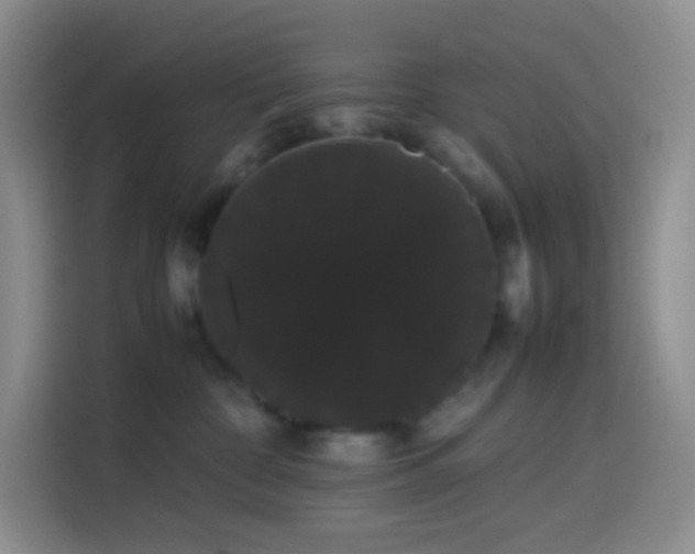 X0000113850332200910011006