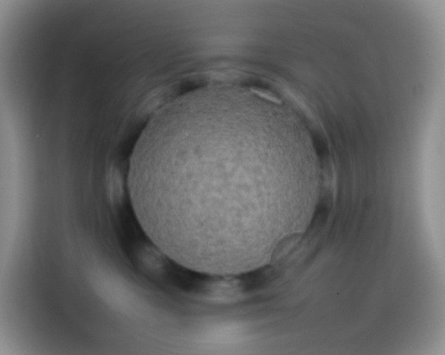 X0000113850333200910011006