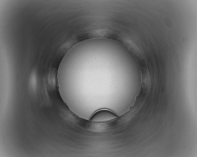 X0000113850334200910011006