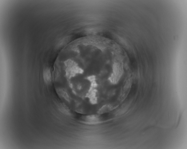 X0000113850335200910011006