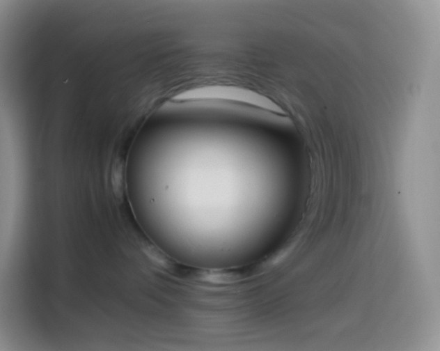 X0000113850336200910011006