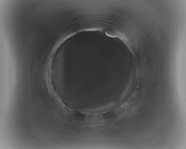 X0000113850337200910011005