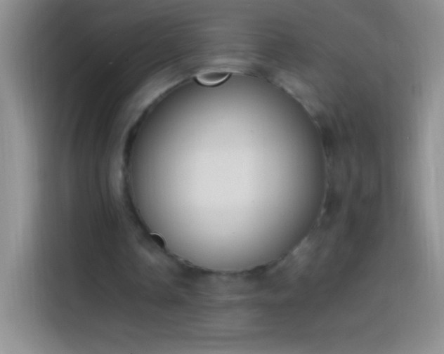 X0000113850338200910011005