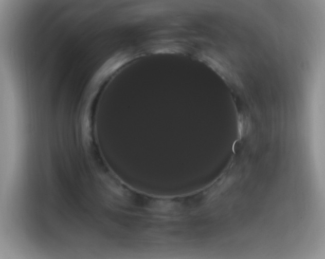 X0000113850339200910011005