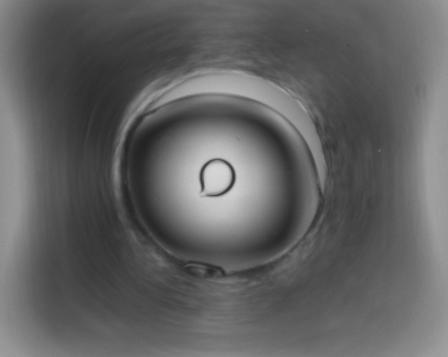 X0000113850340200910011005