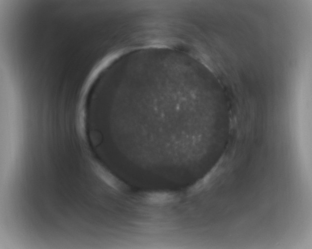 X0000113850342200910011005