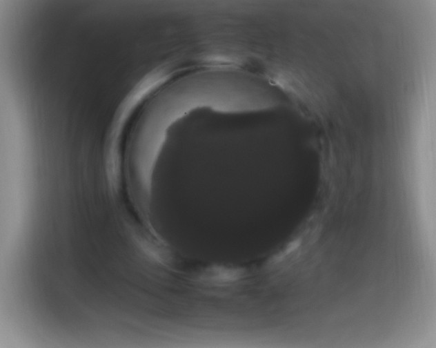 X0000113850343200910011005