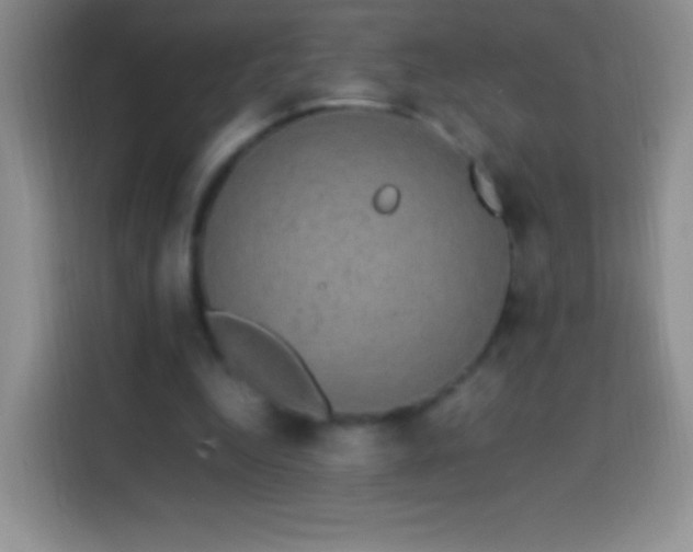 X0000113850344200910011005