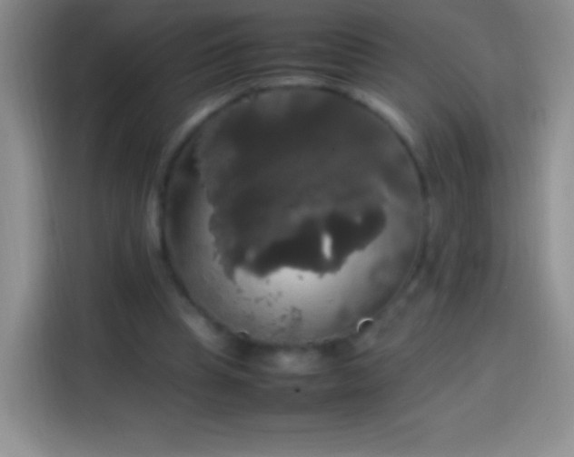 X0000113850345200910011005