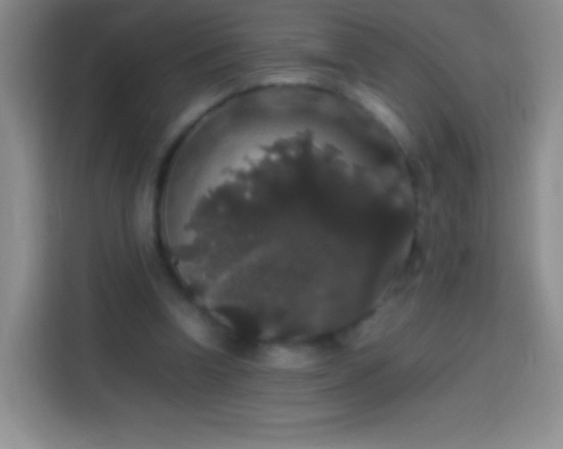 X0000113850346200910011005