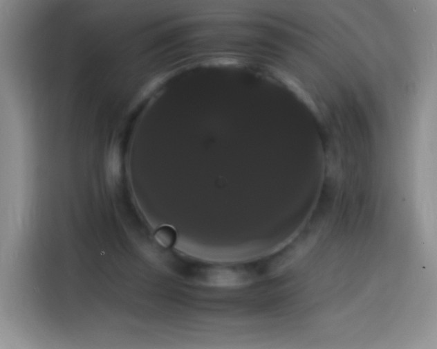 X0000113850347200910011005