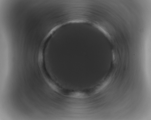 X0000113850348200910011005