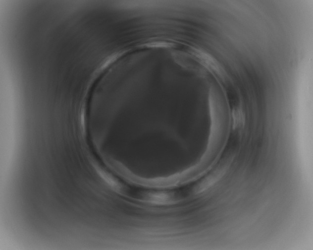 X0000113850349200910011005