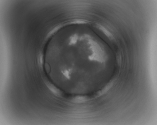 X0000113850350200910011005