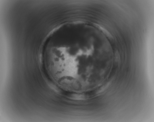 X0000113850351200910011005