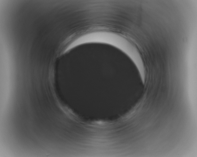 X0000113850352200910011005