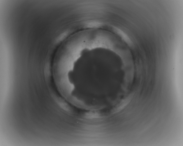 X0000113850354200910011005