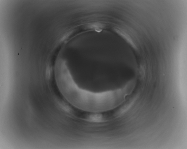 X0000113850355200910011005