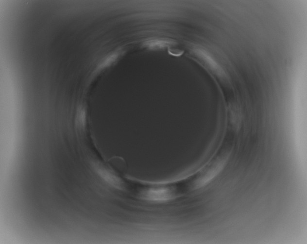 X0000113850357200910011005