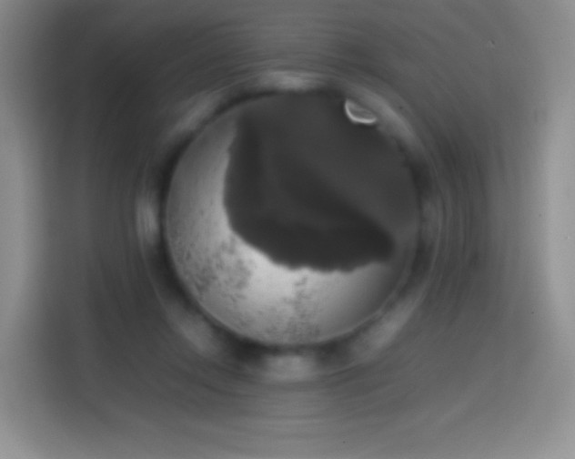 X0000113850358200910011005