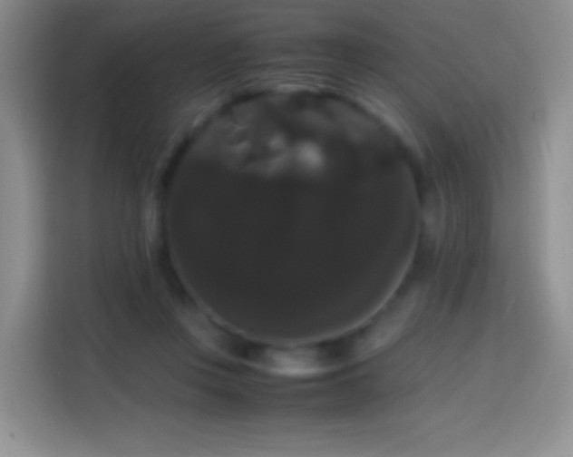 X0000113850359200910011005