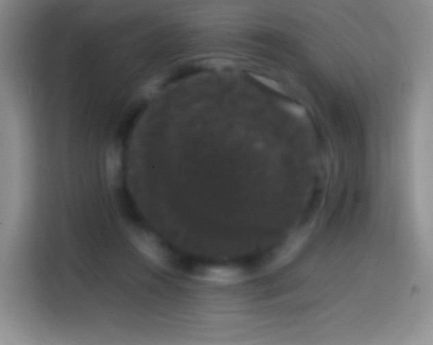 X0000113850360200910011005