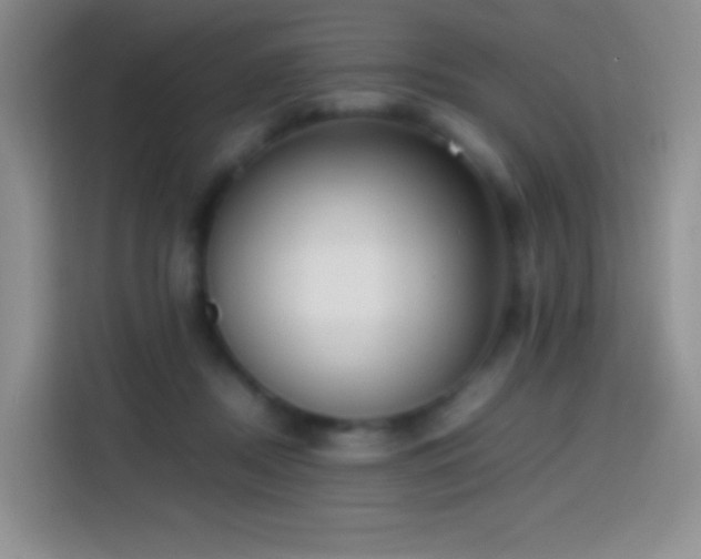 X0000113850362200910011005