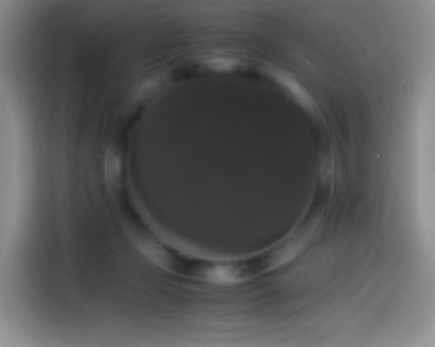 X0000113850365200910011005