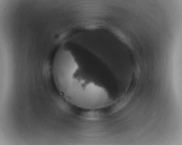 X0000113850366200910011005