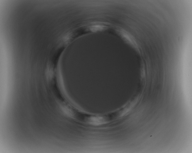 X0000113850367200910011005