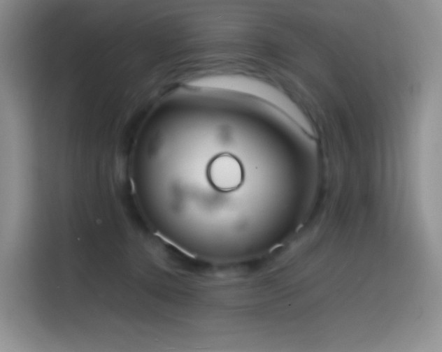 X0000113850368200910011005