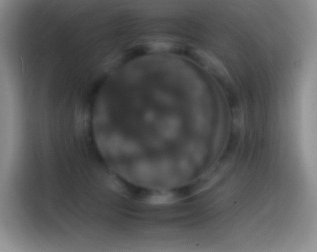 X0000113850369200910011005