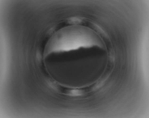 X0000113850371200910011005