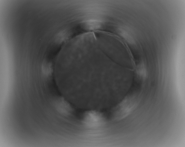 X0000113850372200910011005