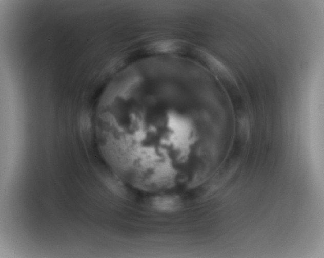 X0000113850373200910011005