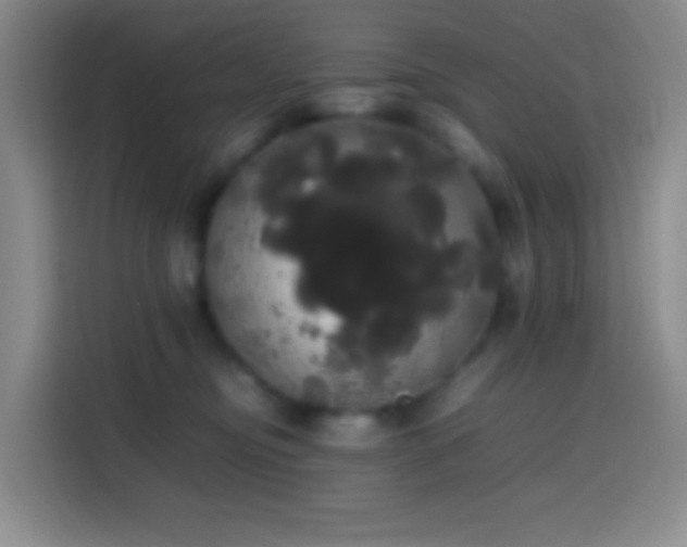 X0000113850374200910011005