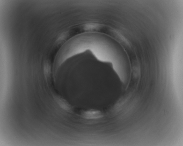 X0000113850375200910011005