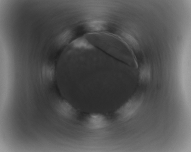 X0000113850376200910011005